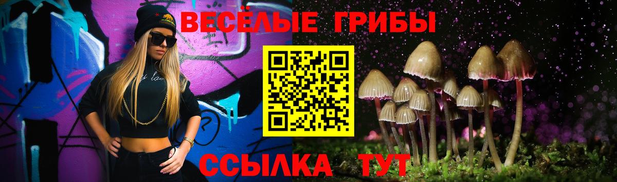 Ишимбай  Псилоцибиновые грибы Magic Shrooms  Вход с VPN  Галлюциногенные грибы Cubensis 